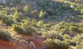 Trail Walking Saint-Antonin-sur-Bayon - Massif de la Sainte Victoire - Saint Antonin sur Bayon - Photo 1