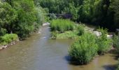 Trail Walking Najac - Boucle le long de l'Aveyron - Najac nord - Photo 2