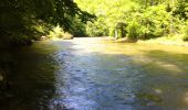 Trail Walking Najac - Boucle le long de l'Aveyron - Najac nord - Photo 1