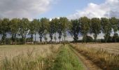 Randonnée Marche Avelin - La voie verte de la Pévèle - Avelin - Photo 6