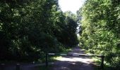 Trail Walking Avelin - La voie verte de la Pévèle - Avelin - Photo 4