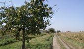 Randonnée Marche Avelin - La voie verte de la Pévèle - Avelin - Photo 2