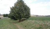 Excursión Senderismo Avelin - La voie verte de la Pévèle - Avelin - Photo 1