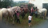 Trail Equestrian Saint-Julien - rando du 27-05-12 - Photo 6