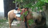 Trail Equestrian Saint-Julien - rando du 27-05-12 - Photo 5