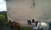 Trail Equestrian Saint-Julien - rando du 27-05-12 - Photo 3