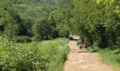 Trail Walking Rouvroy - Transgaumaise -2ème étape - Photo 2