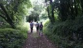 Trail Walking Fressines - Fressines-11,7km - Photo 5