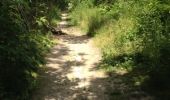 Trail Walking Viroflay - viroflay - meudon - Photo 19