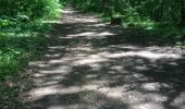 Trail Walking Viroflay - viroflay - meudon - Photo 17