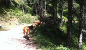Trail Walking Zonza - mes copines Corses de Bavella - Photo 5