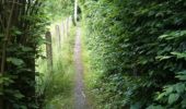 Trail Walking Yvoir - Boucle Godinne Mont chemins publics - Photo 5