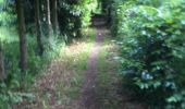 Trail Walking Yvoir - Boucle Godinne Mont chemins publics - Photo 2