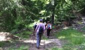 Tour Wandern Églisolles - Marche du Siège de la Reine - Photo 3