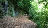 Trail Walking Grust - pyrenees - Photo 6