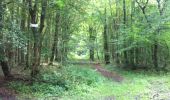 Randonnée Marche Longpont - en forêt de Retz_2_Longpont_Fleury_AR - Photo 1