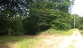 Trail Walking Longpont - en forêt de Retz_2_Longpont_Fleury_AR - Photo 13
