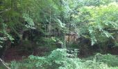 Tocht Stappen Longpont - en forêt de Retz_2_Longpont_Fleury_AR - Photo 14