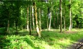 Tocht Stappen Longpont - en forêt de Retz_2_Longpont_Fleury_AR - Photo 2