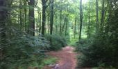 Excursión Senderismo Longpont - en forêt de Retz_3_Longpont_carrefour de Chateau Fee_AR - Photo 5