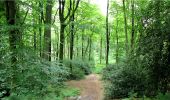 Trail Walking Longpont - en forêt de Retz_3_Longpont_carrefour de Chateau Fee_AR - Photo 16