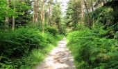 Trail Walking Longpont - en forêt de Retz_3_Longpont_carrefour de Chateau Fee_AR - Photo 9