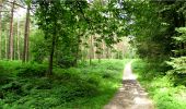 Trail Walking Longpont - en forêt de Retz_3_Longpont_carrefour de Chateau Fee_AR - Photo 17