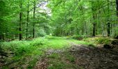 Trail Walking Longpont - en forêt de Retz_3_Longpont_carrefour de Chateau Fee_AR - Photo 3