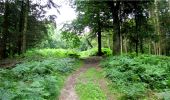 Trail Walking Longpont - en forêt de Retz_3_Longpont_carrefour de Chateau Fee_AR - Photo 2