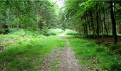 Trail Walking Longpont - en forêt de Retz_3_Longpont_carrefour de Chateau Fee_AR - Photo 1