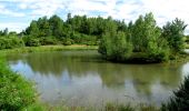 Tocht Stappen Gouzon - l'étang des grands champs - Photo 2