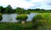 Tocht Stappen Gouzon - l'étang des grands champs - Photo 9