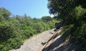 Trail Walking Thoiras - chemin des ecoliers THOIRAS - Photo 1