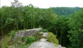 Tour Wandern Bouillon - De Poupehan à Frahan par le sentier des crêtes - Photo 2