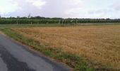 Tocht Mountainbike Montreuil-Bellay - 2012-07-14 13h35m46 - Photo 3