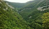 Trail Walking Villard-Saint-Sauveur - gorges du flumen - Photo 3
