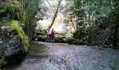Trail Walking Villard-Saint-Sauveur - gorges du flumen - Photo 2