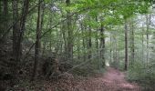 Tour Wandern Tellin - Tellin. Natura 2000, des sites qui valent le détour ! Lx 7 - Photo 4