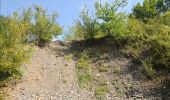 Trail Walking Viroinval - Treignes. Natura 2000, des sites qui valent le détour ! Na4 - Photo 6