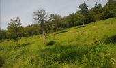 Trail Walking Viroinval - Treignes. Natura 2000, des sites qui valent le détour ! Na4 - Photo 12
