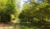 Randonnée Marche Florenville - Les Epioux. Natura 2000, des sites qui valent le détour ! Lx 2 - Photo 11