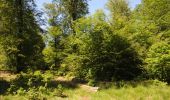 Trail Walking Florenville - Les Epioux. Natura 2000, des sites qui valent le détour ! Lx 2 - Photo 6