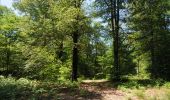 Trail Walking Florenville - Les Epioux. Natura 2000, des sites qui valent le détour ! Lx 2 - Photo 2