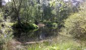 Trail Walking Fontainebleau - GLM-120718 - HouxFranchard - Photo 1