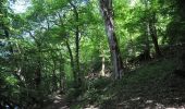 Randonnée Marche Herbeumont - Herbeumont. Natura 2000, des sites qui valent le détour ! Lx 3 - Photo 1