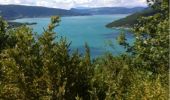 Trail Walking Duingt - le Taillefer (Annecy) - Photo 3