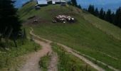 Trail Walking Marignier - le mole - Photo 2