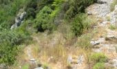 Trail Walking Saorge - Breil fontan pylône 23 - Photo 1
