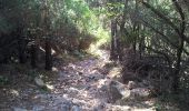 Trail Walking Piana - Capo d'Ortu  - Photo 1