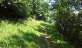 Trail Walking Fontcouverte-la-Toussuire - Fontcouverte bottieres - Photo 16